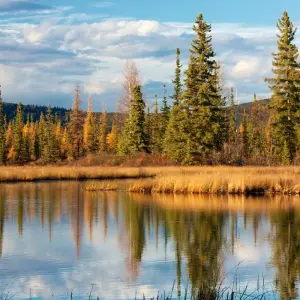 Explore Alaska: America's Last Frontier  (Fairbanks, AK to Anchorage, AK) for 9 days with Collette and discover unforgettable experiences - Photo 7
