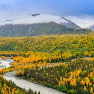 Explore Alaska: America's Last Frontier  (Fairbanks, AK to Anchorage, AK) for 9 days with Collette and discover unforgettable experiences - Photo 8