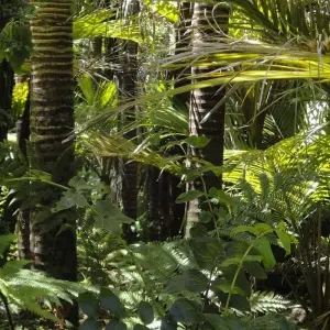 Explore Collpa de Guacamayos 3D/2N for 3 days with CondeTravel and discover unforgettable experiences - Photo 3