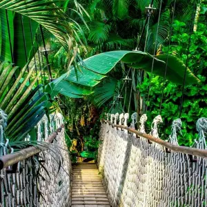 Explore Collpa de Guacamayos 3D/2N for 3 days with CondeTravel and discover unforgettable experiences - Photo 6