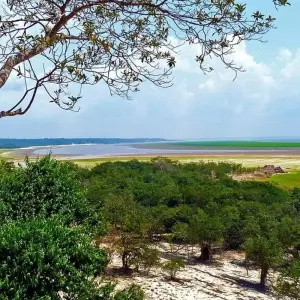 Explore Macaw clay lick and sandoval lake 5D/4N for 5 days with CondeTravel and discover unforgettable experiences - Photo 7