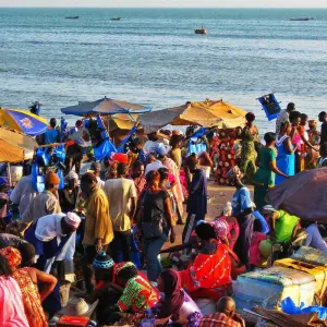 Explore The Best of Senegal – 8 Days for 8 days with Continent Tours and discover unforgettable experiences - Photo 4