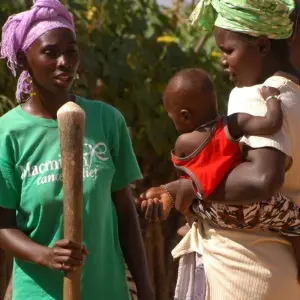 Explore Discover The Gambia – 7 Days for 7 days with Continent Tours and discover unforgettable experiences - Photo 2