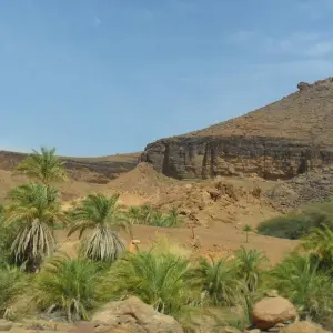 Explore Explore Mauritania – 7 days for 7 days with Continent Tours and discover unforgettable experiences - Photo 11