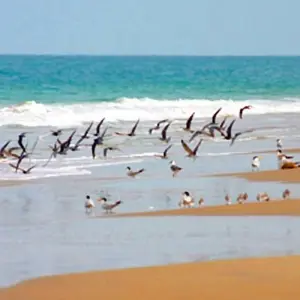 Explore Discover Guinea for 7 days with Continent Tours and discover unforgettable experiences - Photo 4