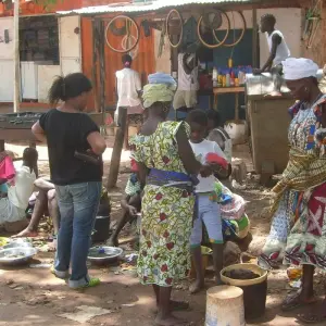 Explore Guinea Bissau – Islands and Wildlife for 10 days with Continent Tours and discover unforgettable experiences - Photo 3