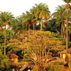 Explore Discover Guinea for 7 days with Continent Tours and discover unforgettable experiences - Photo 7