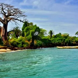 Explore Guinea Bissau – Islands and Wildlife for 10 days with Continent Tours and discover unforgettable experiences - Photo 5