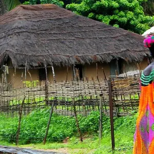 Explore Guinea Bissau – Islands and Wildlife for 10 days with Continent Tours and discover unforgettable experiences - Photo 8