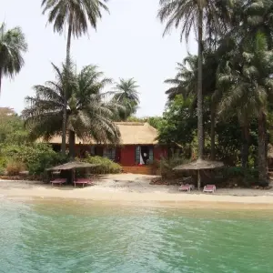 Explore Guinea Bissau – Islands and Wildlife for 10 days with Continent Tours and discover unforgettable experiences - Photo 10