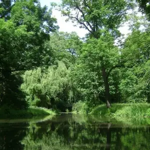 Explore Central Europe for 15 days with Cosmos and discover unforgettable experiences - Photo 3