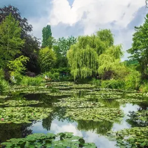 Explore Paris, Normandy and the Loire for 8 days with Cosmos and discover unforgettable experiences - Photo 5