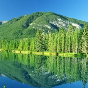 Explore The Canadian Rockies for 13 days with Cosmos and discover unforgettable experiences - Photo 4