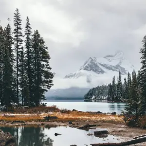 Explore The Canadian Rockies for 13 days with Cosmos and discover unforgettable experiences - Photo 10