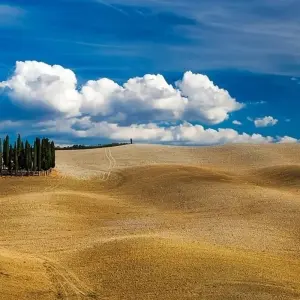 Explore Gourmet Tuscany for 8 days with Cosmos and discover unforgettable experiences - Photo 2