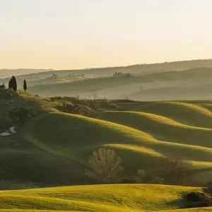 Explore Gourmet Tuscany for 8 days with Cosmos and discover unforgettable experiences - Photo 3