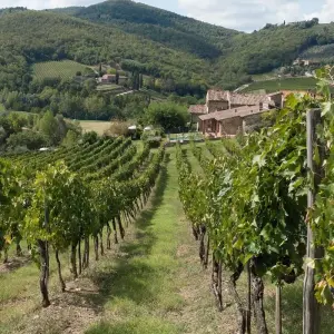 Explore Gourmet Tuscany for 8 days with Cosmos and discover unforgettable experiences - Photo 7