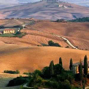 Explore Gourmet Tuscany for 8 days with Cosmos and discover unforgettable experiences - Photo 11
