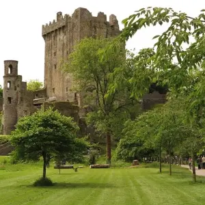 Explore From Dublin to London for 9 days with Cosmos and discover unforgettable experiences - Photo 5