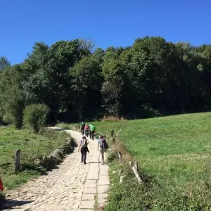 Explore The Camino, a Walking Journey for the Soul for 11 days with Cosmos and discover unforgettable experiences - Photo 4