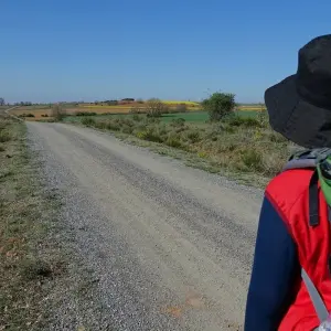 Explore The Camino, a Walking Journey for the Soul for 11 days with Cosmos and discover unforgettable experiences - Photo 5