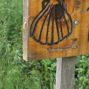 Explore The Camino, a Walking Journey for the Soul for 11 days with Cosmos and discover unforgettable experiences - Photo 6