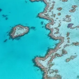 Explore Highlights of Australia for 12 days with Cosmos and discover unforgettable experiences - Photo 5
