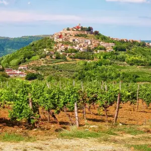 Explore Istria Tour for 8 days with Croaticum GmbH and discover unforgettable experiences - Photo 5