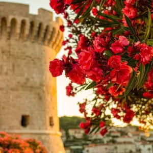 Explore Central Dalmatia: Island Dreams for 8 days with Croaticum GmbH and discover unforgettable experiences - Photo 9
