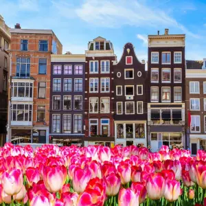 Explore Classic Rhine Cruise (Amsterdam-Mainz) MS Crucevita for 8 days with Crucemundo  and discover unforgettable experiences - Photo 4