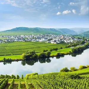 Explore Romantic Moselle River Cruise (Mainz-Mainz) - MS Crucevita 4*sup for 8 days with Crucemundo  and discover unforgettable experiences - Photo 10