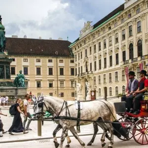 Explore Danube Serenade: Romantic Journey from Vienna to Turnu Magurele (Bucharest), MS Fidelio for 11 days with Crucemundo  and discover unforgettable experiences - Photo 8