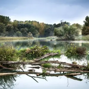 Explore Danube Serenade: Romantic Journey from Vienna to Turnu Magurele (Bucharest), MS Fidelio for 11 days with Crucemundo  and discover unforgettable experiences - Photo 9