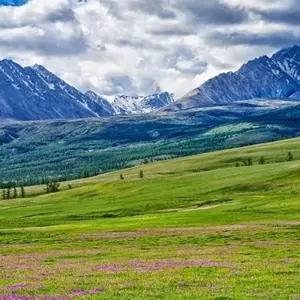 Explore Mongolia & s Golden Eagle Festival for 13 days with Crooked Compass and discover unforgettable experiences - Photo 5