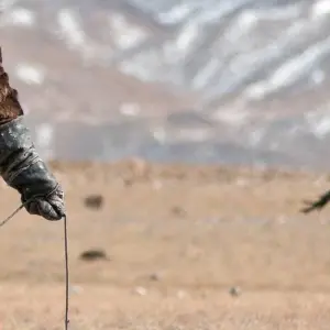 Explore Mongolia & s Golden Eagle Festival for 13 days with Crooked Compass and discover unforgettable experiences - Photo 6