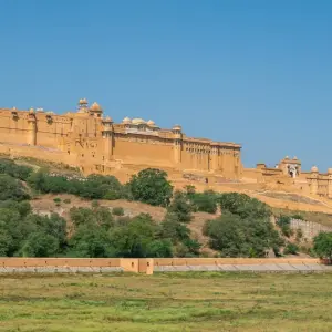 Explore Regal Rajasthan for 14 days with Crooked Compass and discover unforgettable experiences - Photo 5