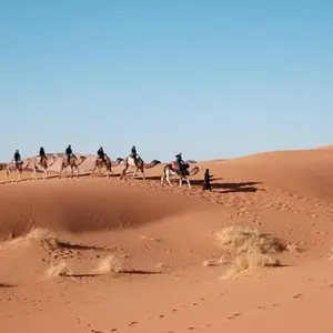 Explore Egypt Rediscovered for 14 days with Crooked Compass and discover unforgettable experiences - Photo 8