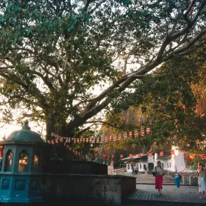 Explore Sea, Tea and Safari – Sri Lanka for 13 days with Crooked Compass and discover unforgettable experiences - Photo 9