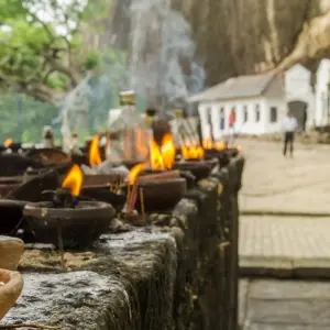 Explore Sea, Tea and Safari – Sri Lanka for 13 days with Crooked Compass and discover unforgettable experiences - Photo 10