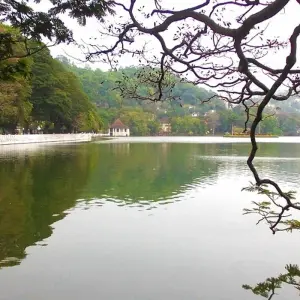 Explore Sea, Tea and Safari – Sri Lanka for 13 days with Crooked Compass and discover unforgettable experiences - Photo 11