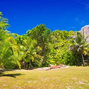 Explore Goroka Festival, Madang & The Sepik River for 12 days with Crooked Compass and discover unforgettable experiences - Photo 3