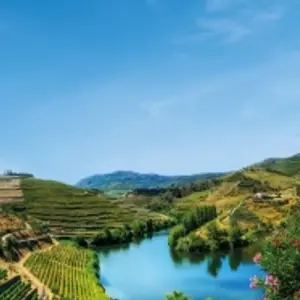 Explore From Portugal to Spain: Porto, the Douro Valley (Portugal) and Salamanca (Spain) - AMALIA RODRIGUES for 8 days with CroisiEurope River Cruises and discover unforgettable experiences - Photo 6