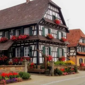 Explore Christmas in Alsace and show at the Royal Palace (port-to-port) for 4 days with CroisiEurope River Cruises and discover unforgettable experiences - Photo 6