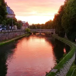 Explore Christmas in Alsace and show at the Royal Palace (port-to-port) for 4 days with CroisiEurope River Cruises and discover unforgettable experiences - Photo 8