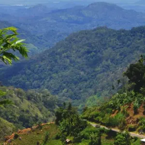 Explore Sri Lanka Delights for 7 days with Culture Holidays Private Limited and discover unforgettable experiences - Photo 6