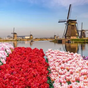 Explore Holland und Belgien for 7 days with DCS Touristik and discover unforgettable experiences - Photo 7
