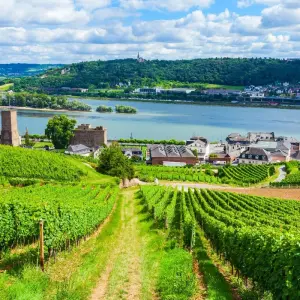Explore Advent auf dem Rhein for 4 days with DCS Touristik and discover unforgettable experiences - Photo 6