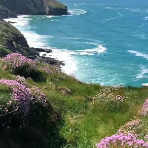 Explore Cornwall tour starting in London for 7 days with Daceys Cornish tours and discover unforgettable experiences - Photo 6