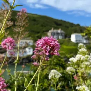 Explore Cornwall tour starting in London for 7 days with Daceys Cornish tours and discover unforgettable experiences - Photo 10