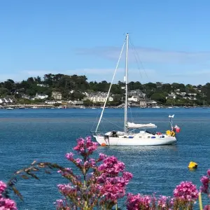 Explore Cornwall tour starting in London for 7 days with Daceys Cornish tours and discover unforgettable experiences - Photo 11